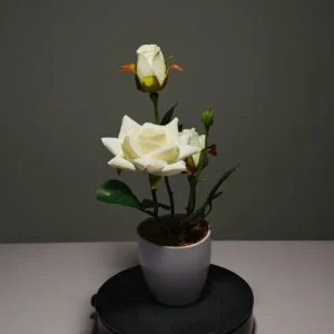 ZH0028 (6)rosas artificiais branca