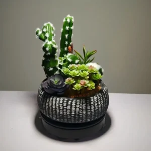DR0001 (1) Cacto Mandacaru Artificial em Vaso Listrado