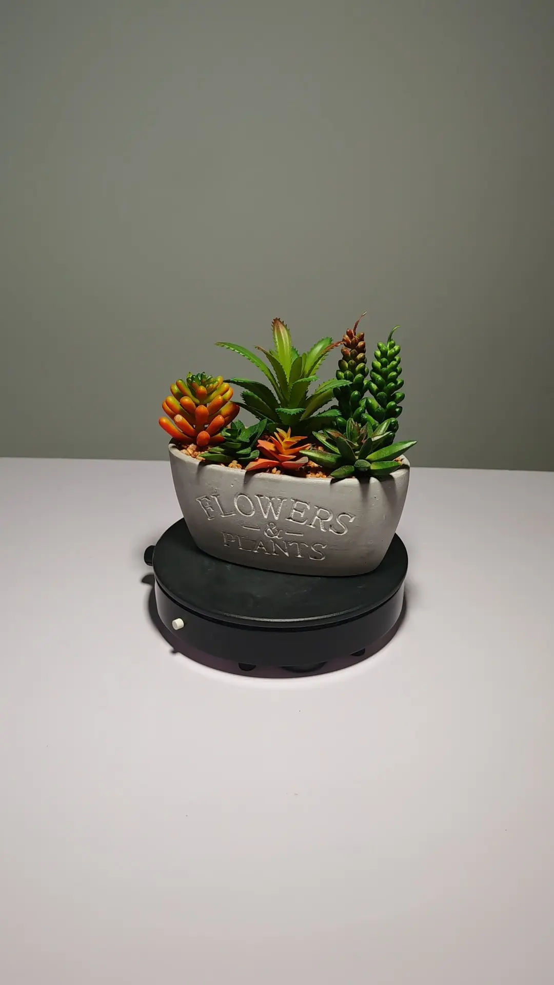 DR0047 (1) profile - Cacto Artificial Realista com Detalhes Naturais