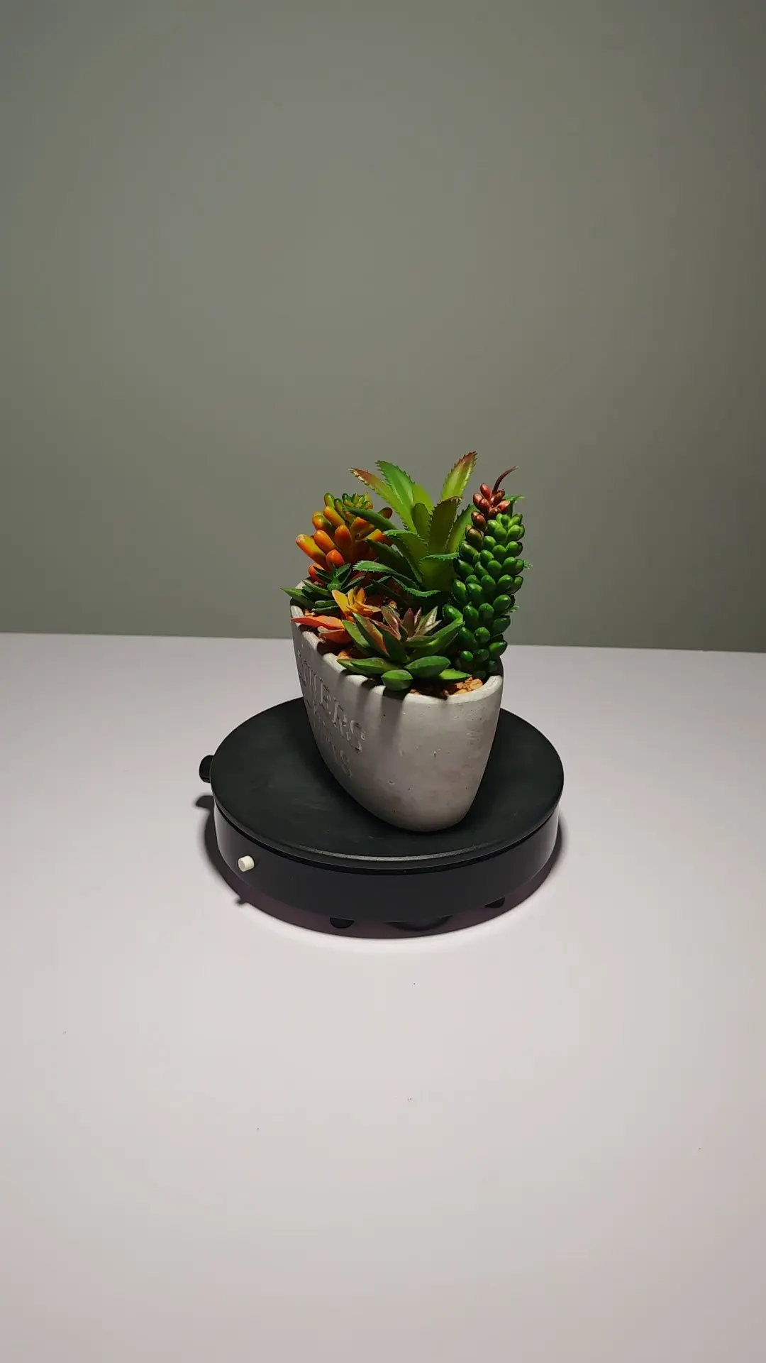 DR0047 (2) - Cacto Artificial Realista com Detalhes Naturais