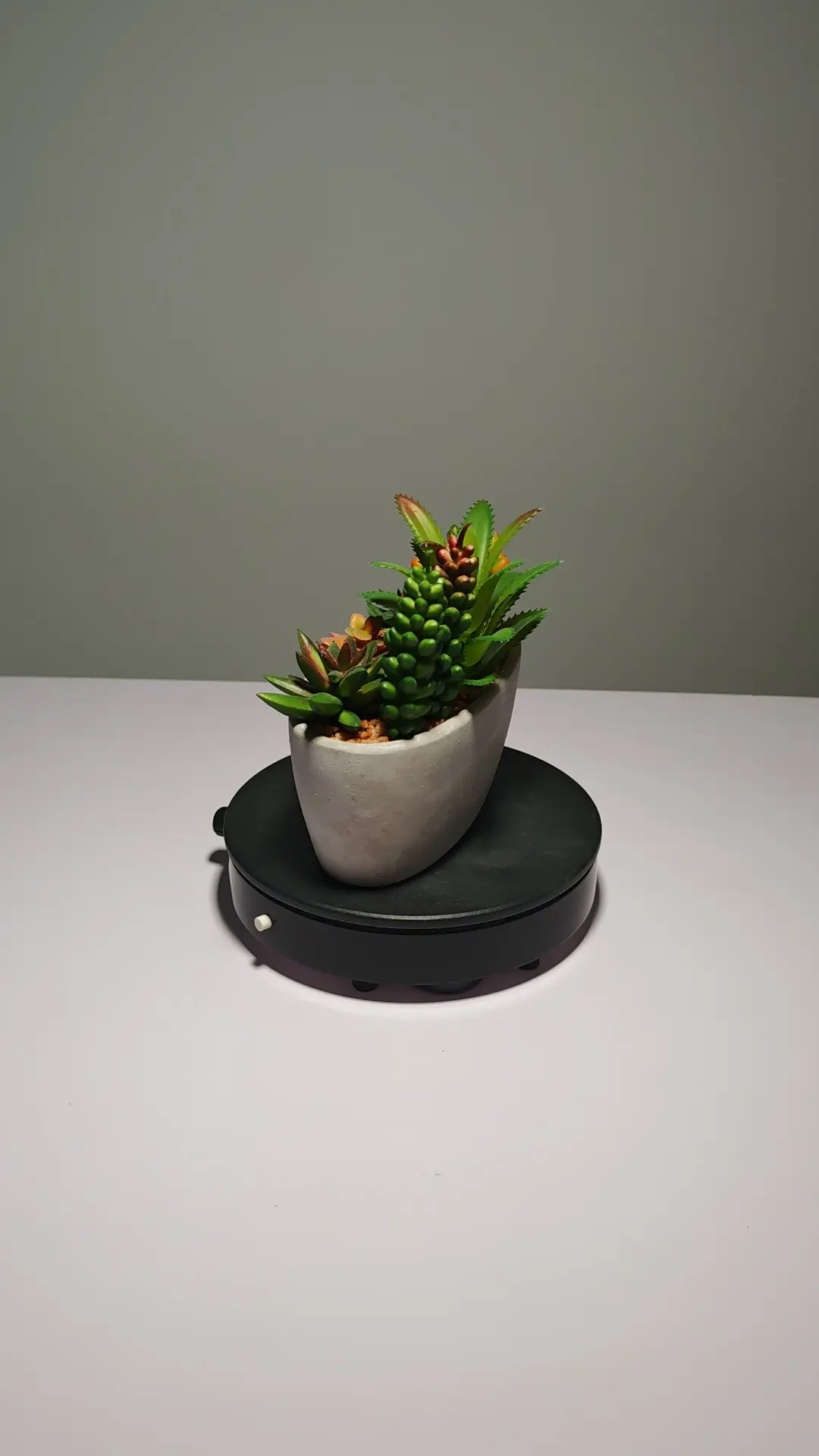 DR0047 (3) - Cacto Artificial Realista com Detalhes Naturais