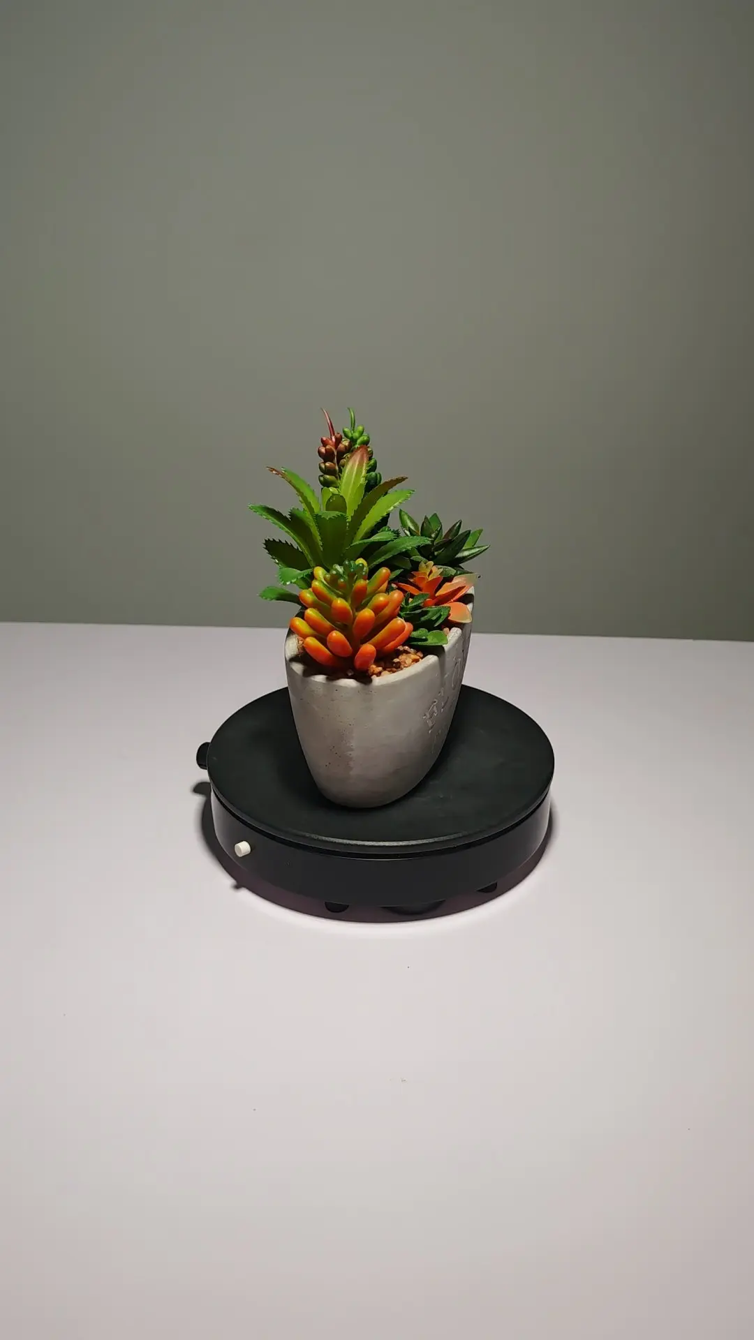 DR0047 (4) - Cacto Artificial Realista com Detalhes Naturais