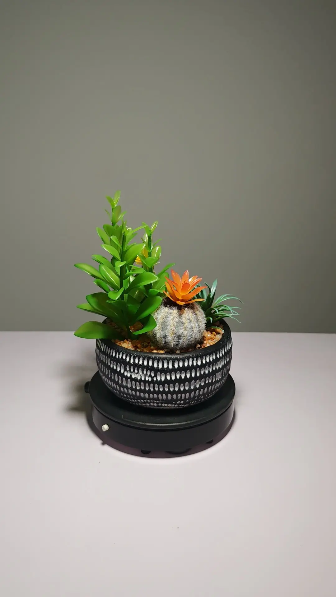 DR0049 (3) - Suculenta Artificial em Vaso com Textura