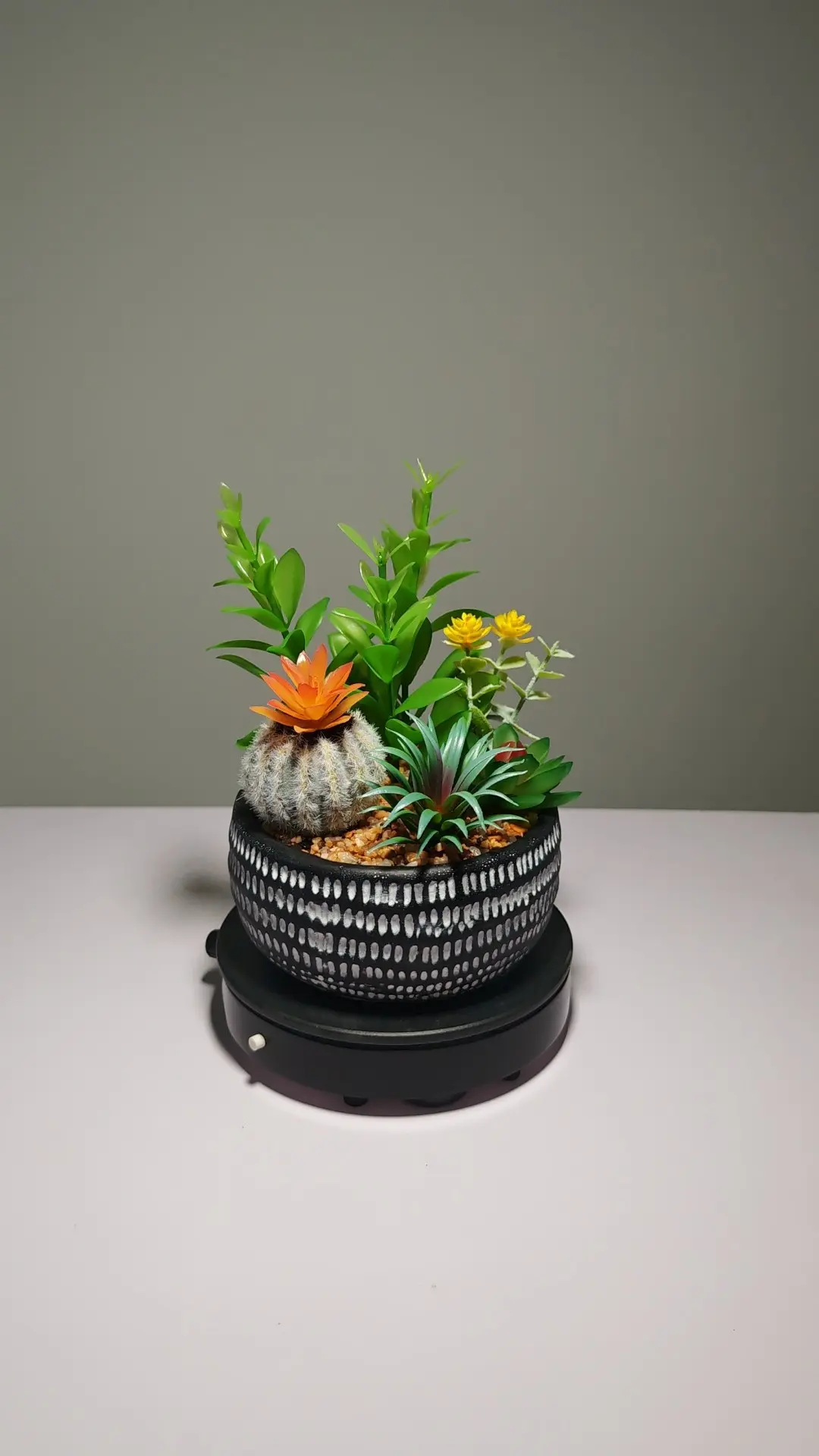 DR0049 (4) profile - Suculenta Artificial em Vaso com Textura