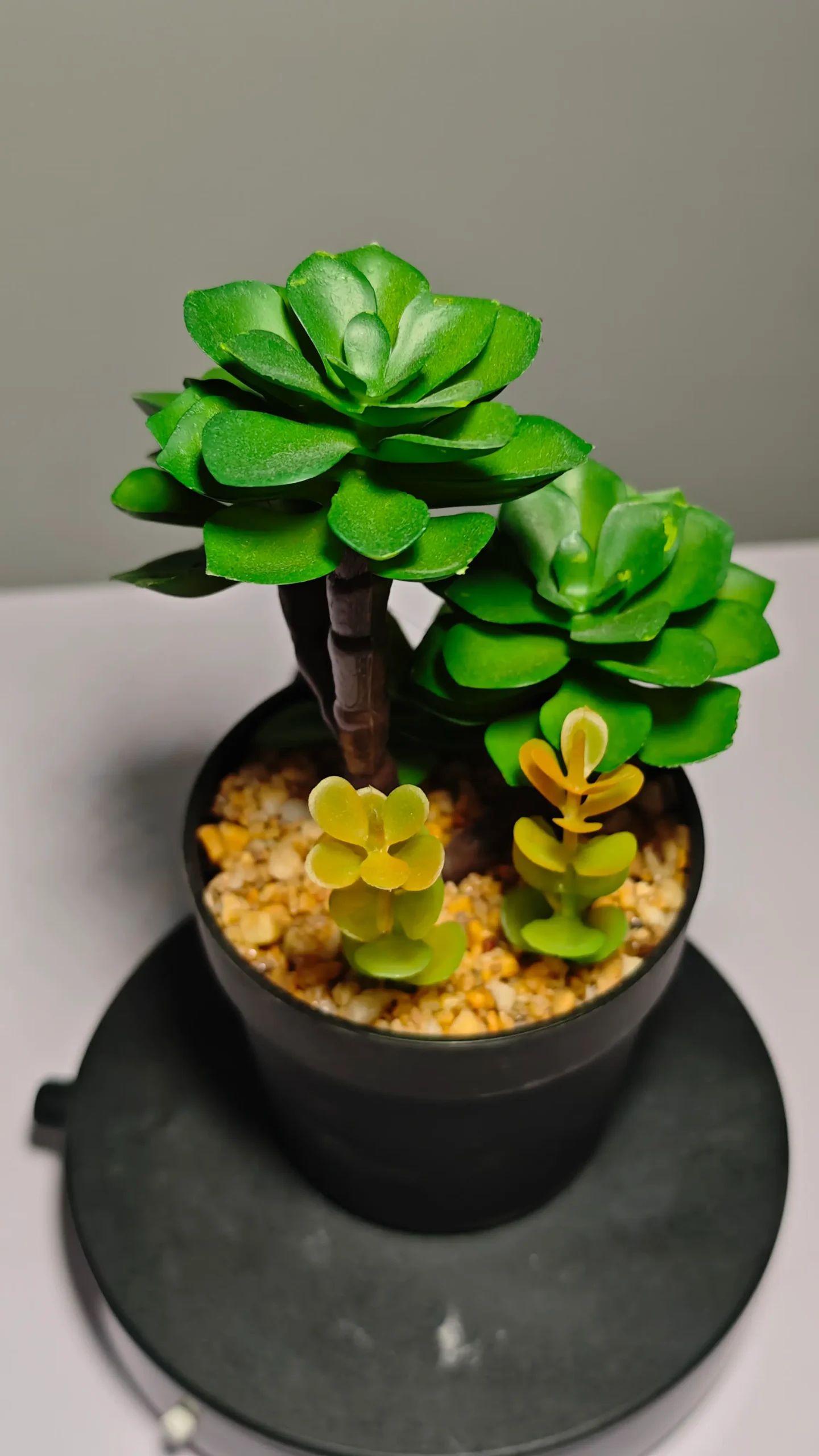 DR0050 (2) - Cacto Artificial para Sala de Estar