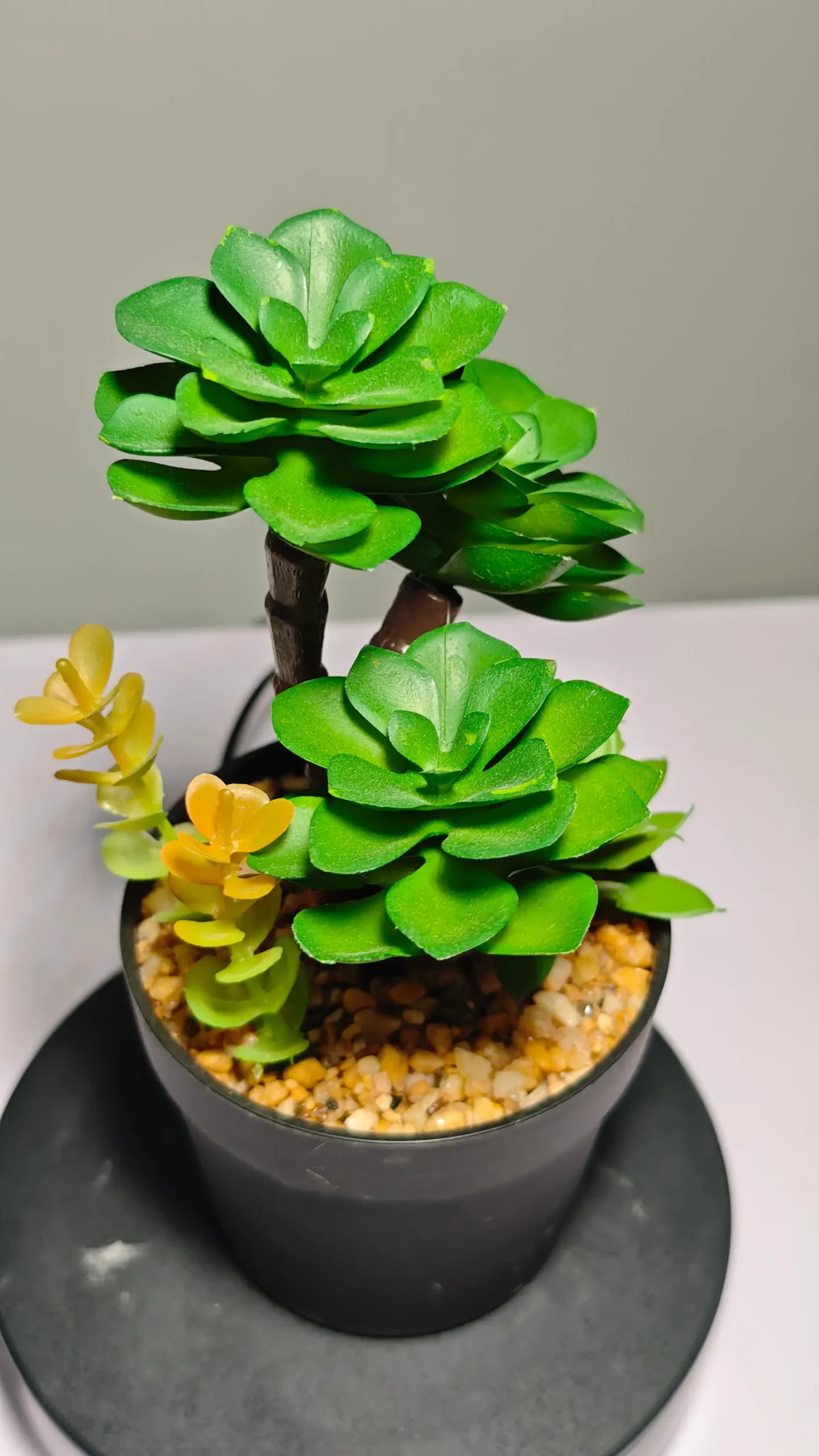 DR0050 (4) - Cacto Artificial para Sala de Estar