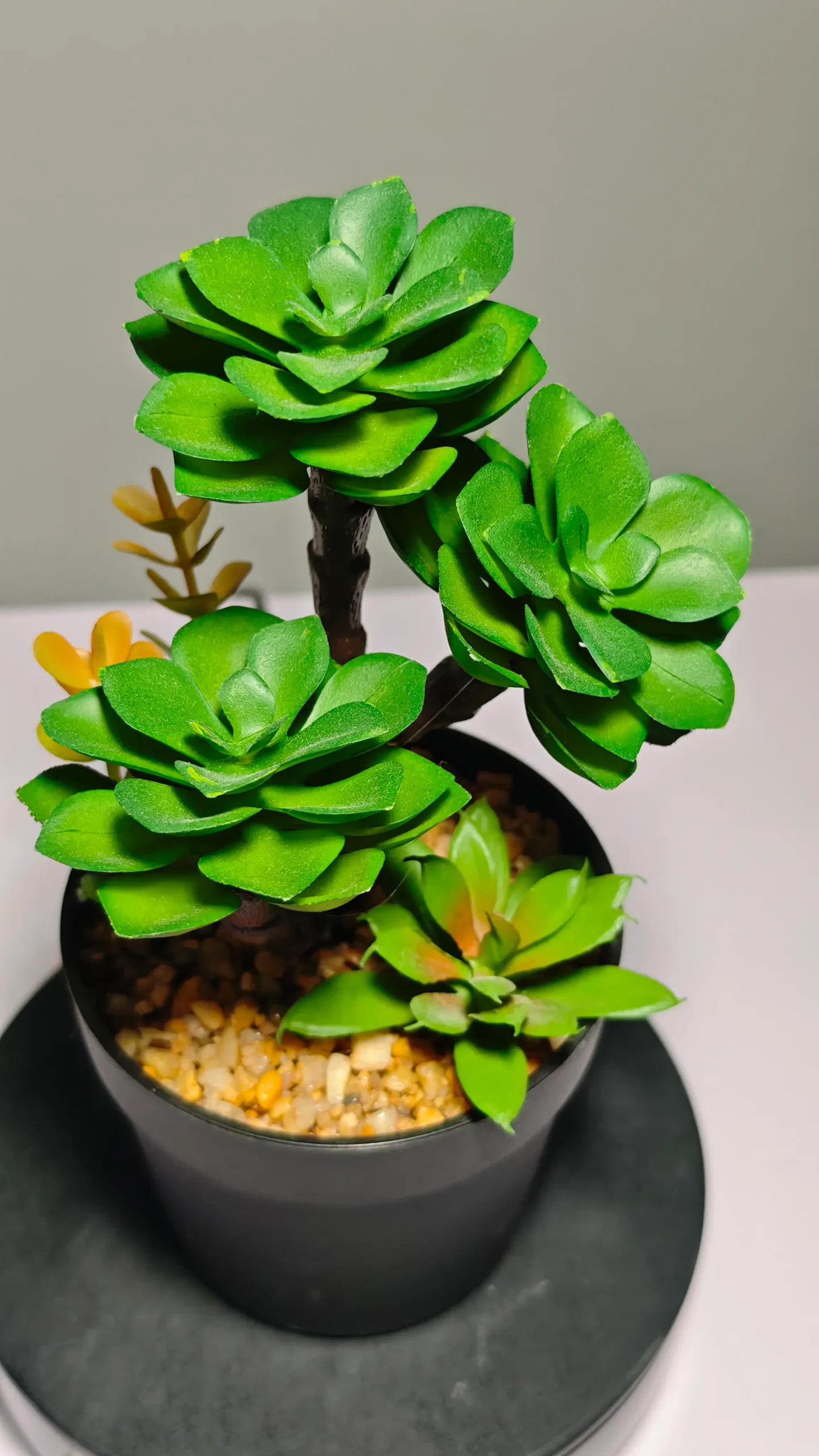 DR0050 (5) - Cacto Artificial para Sala de Estar