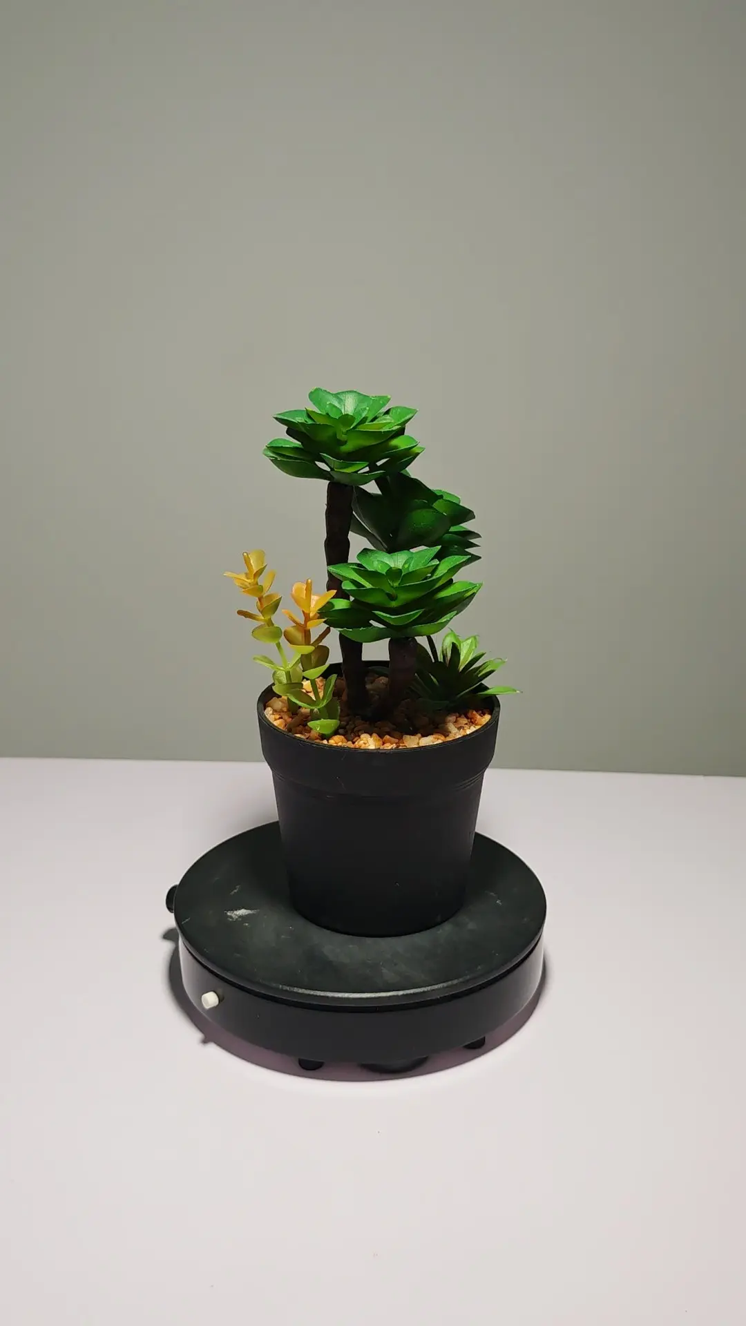 DR0050 (6) - Cacto Artificial para Sala de Estar