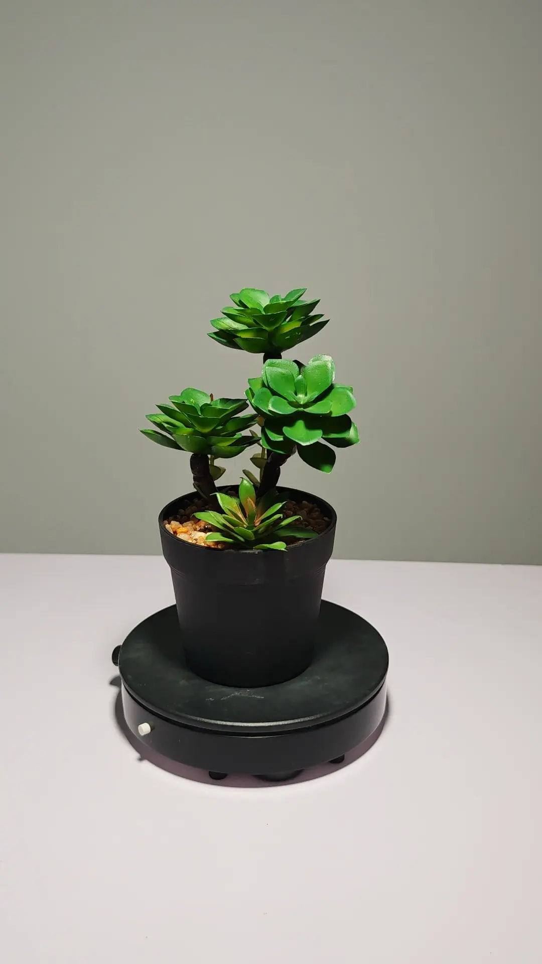 DR0050 (7) profile - Cacto Artificial para Sala de Estar