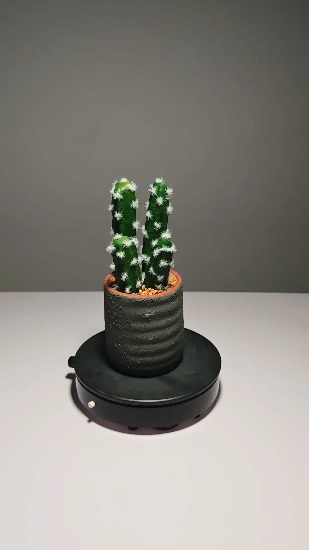 DR0051 (5) profile - Cacto Artificial em Vaso Simples e Elegante