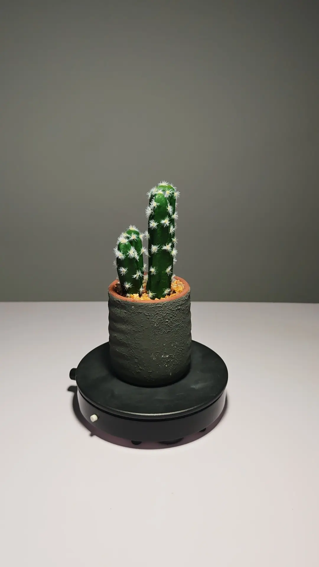 DR0051 (7) - Cacto Artificial em Vaso Simples e Elegante