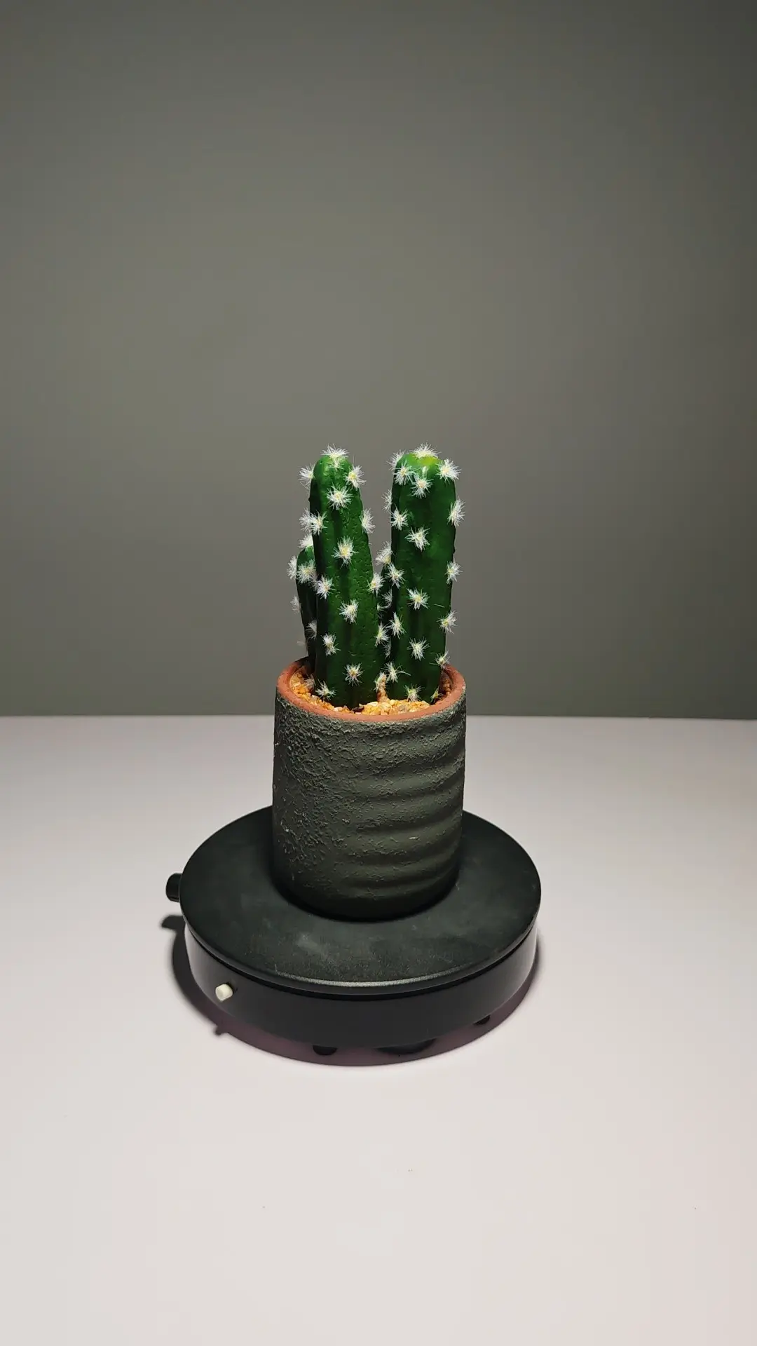 DR0051 (8) - Cacto Artificial em Vaso Simples e Elegante