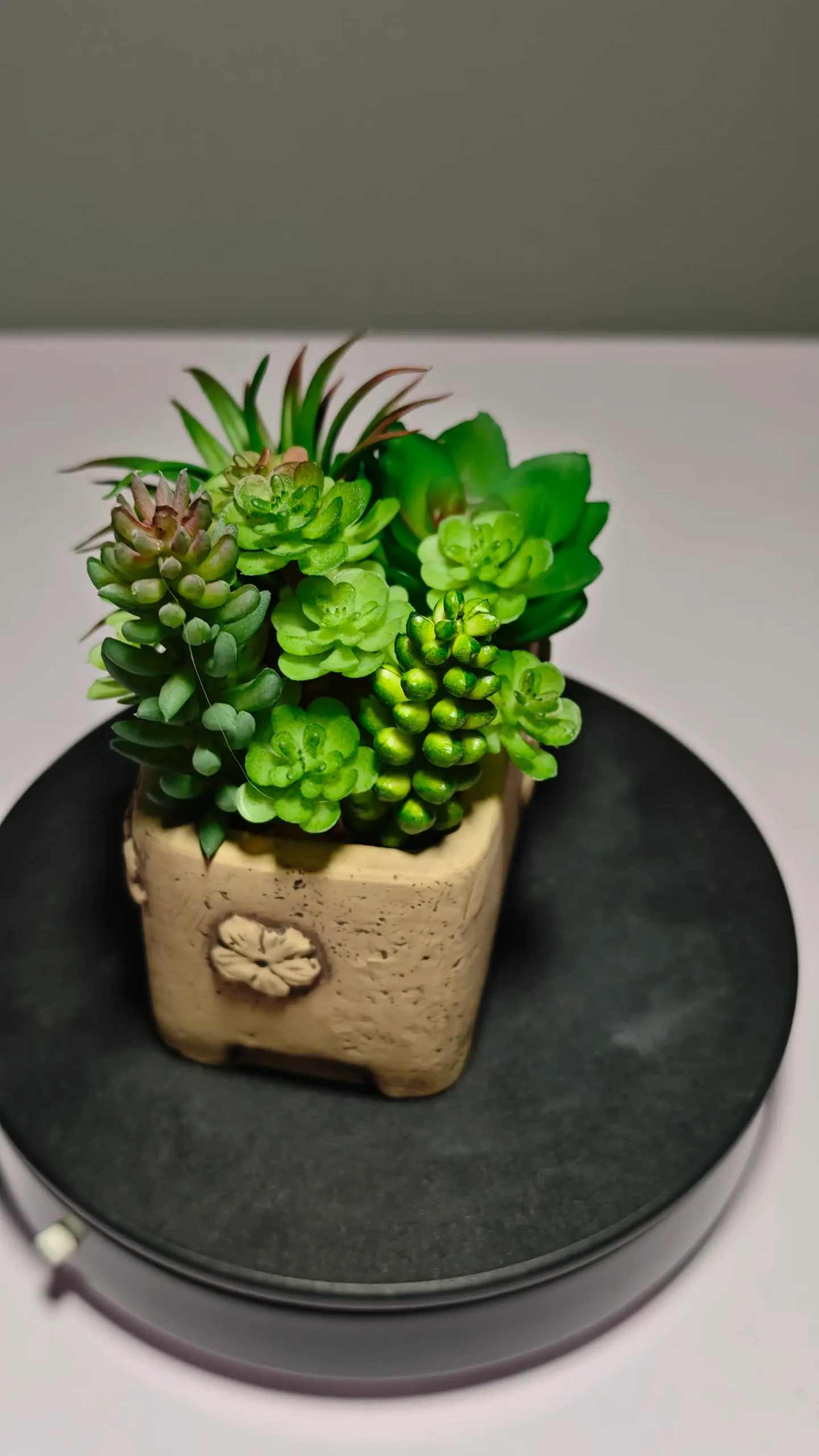 DR0052 (1) - Suculentas Artificiais que Não Murcham