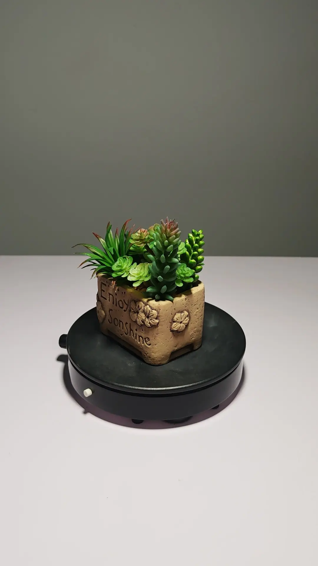 DR0052 (3) - Suculentas Artificiais que Não Murcham