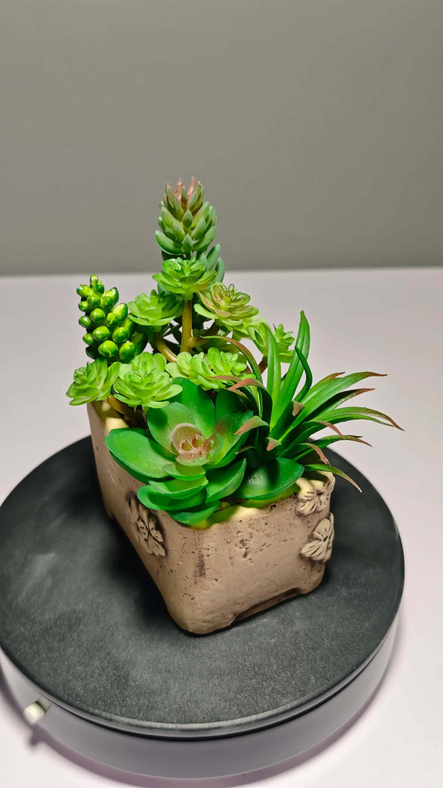 DR0052 (8) - Suculentas Artificiais que Não Murcham