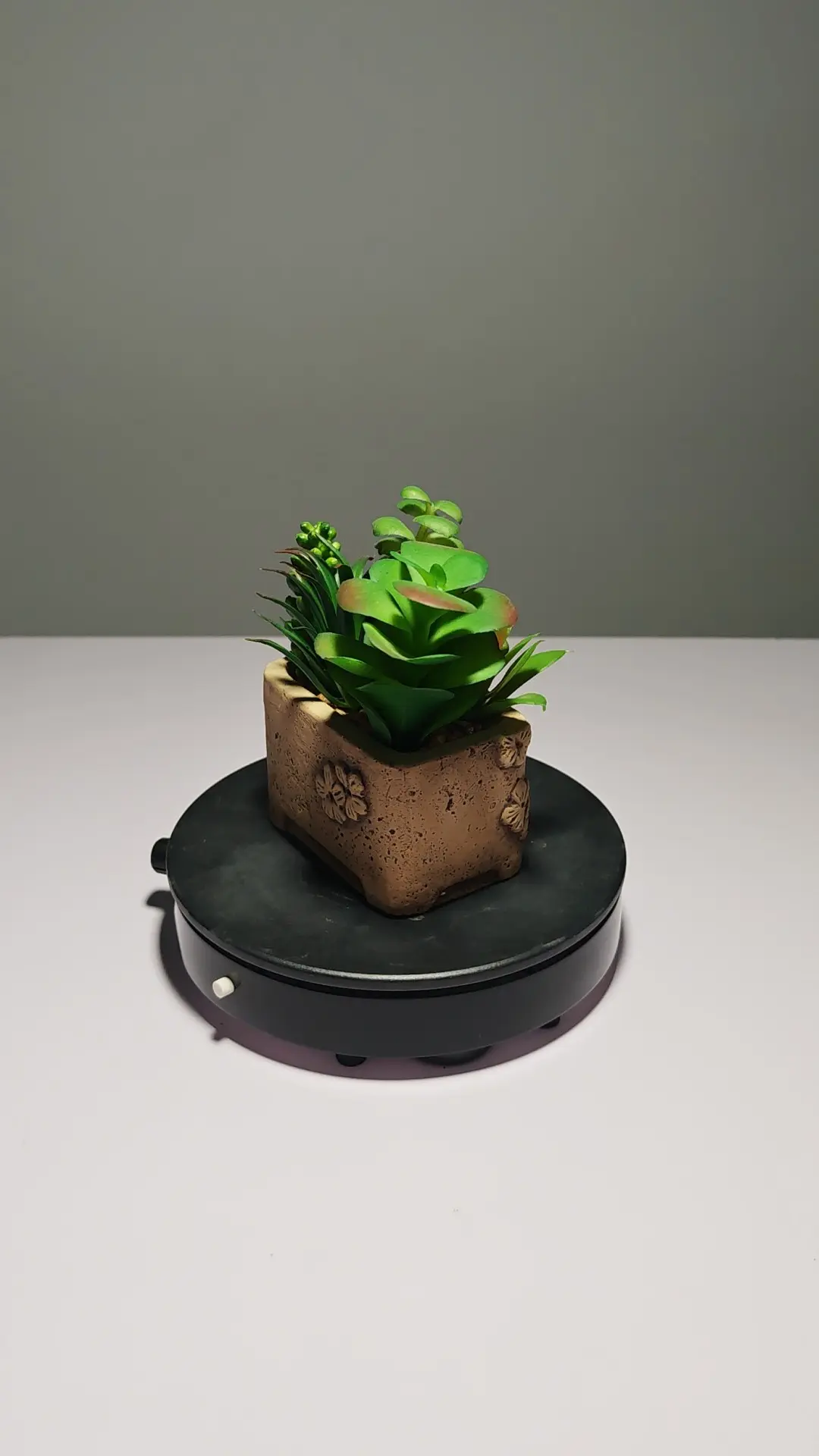 DR0053 (1) - Suculentas Artificiais para Presente Criativo