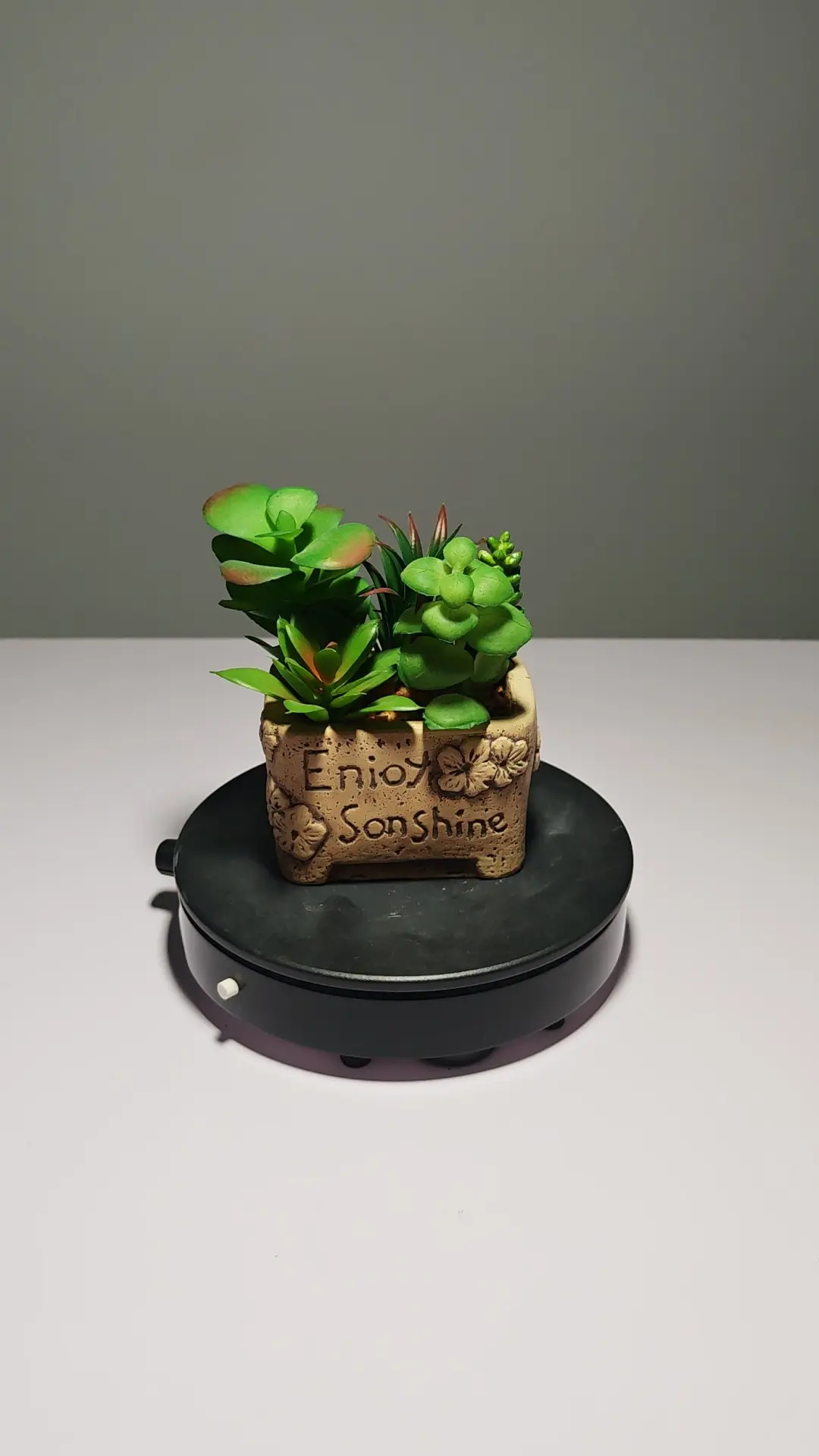 DR0053 (2) profile - Suculentas Artificiais para Presente Criativo