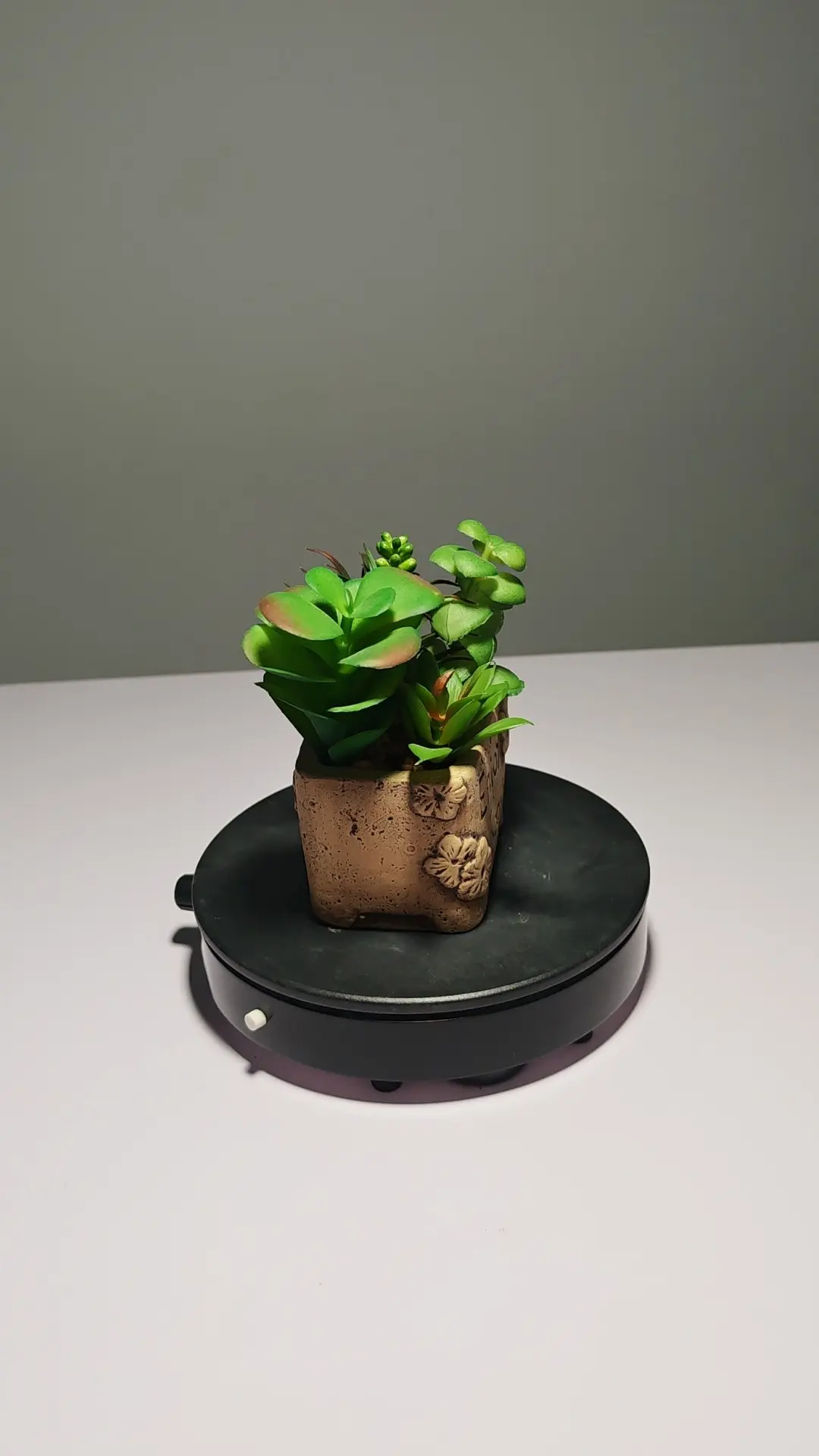 DR0053 (3) - Suculentas Artificiais para Presente Criativo