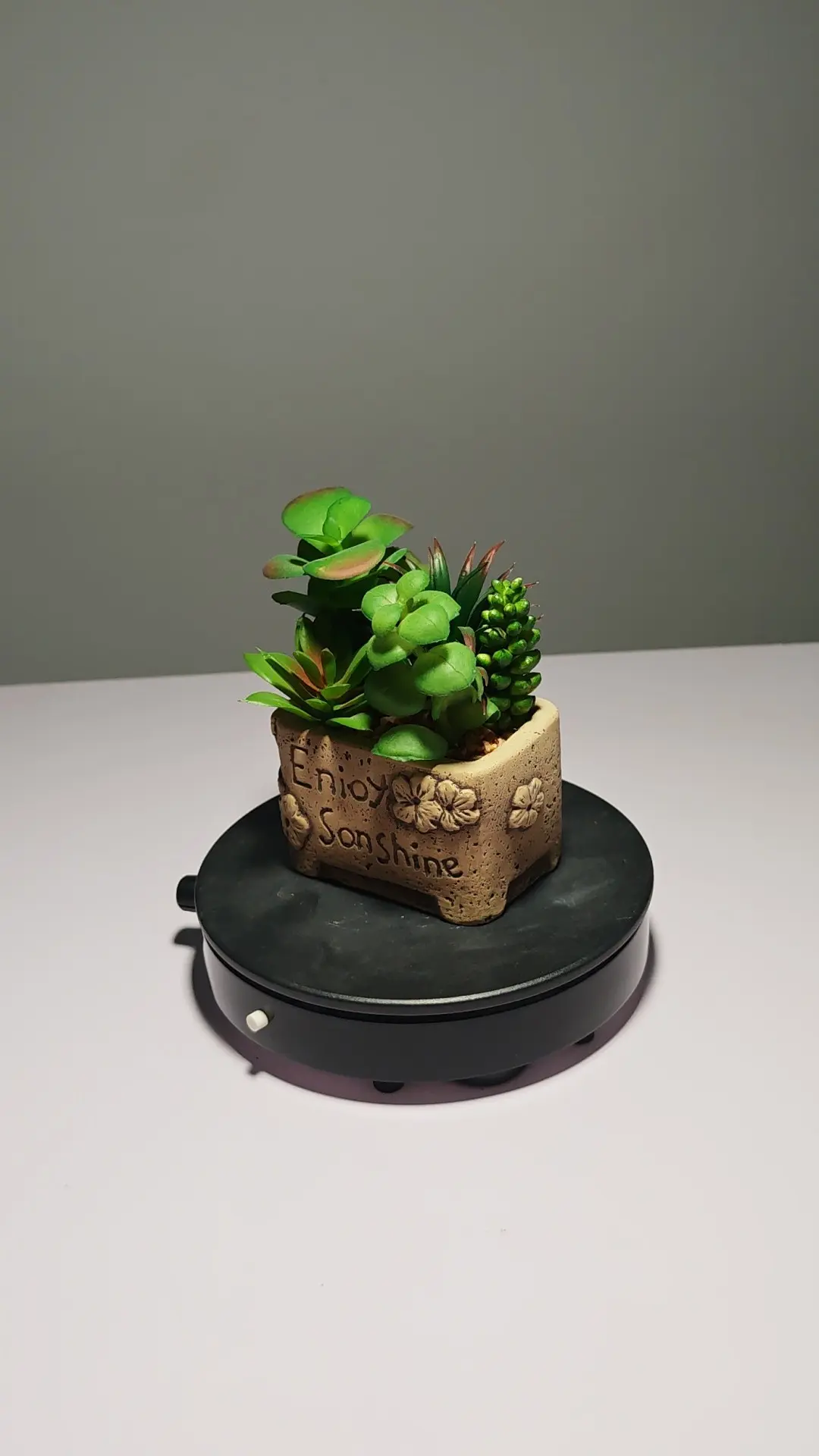 DR0053 (4) - Suculentas Artificiais para Presente Criativo