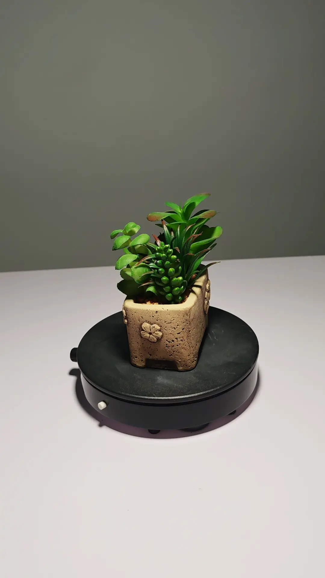 DR0053 (5) - Suculentas Artificiais para Presente Criativo