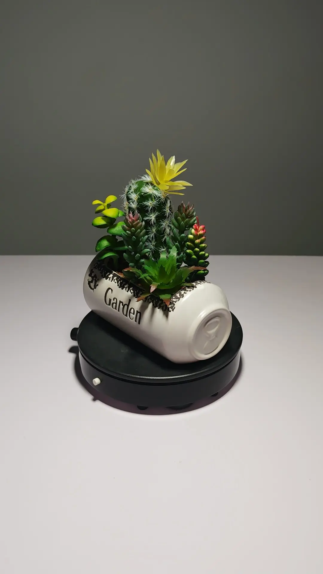 DR0054 (1) - Arranjo de Cactos Artificiais Coloridos