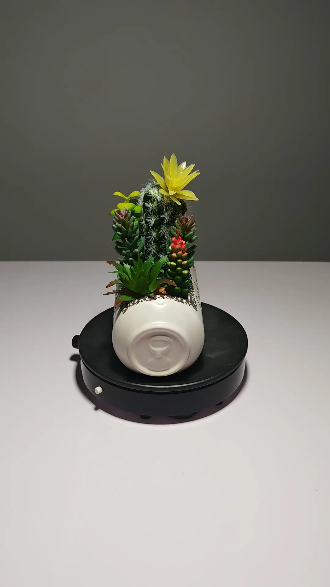 DR0054 (2) - Arranjo de Cactos Artificiais Coloridos