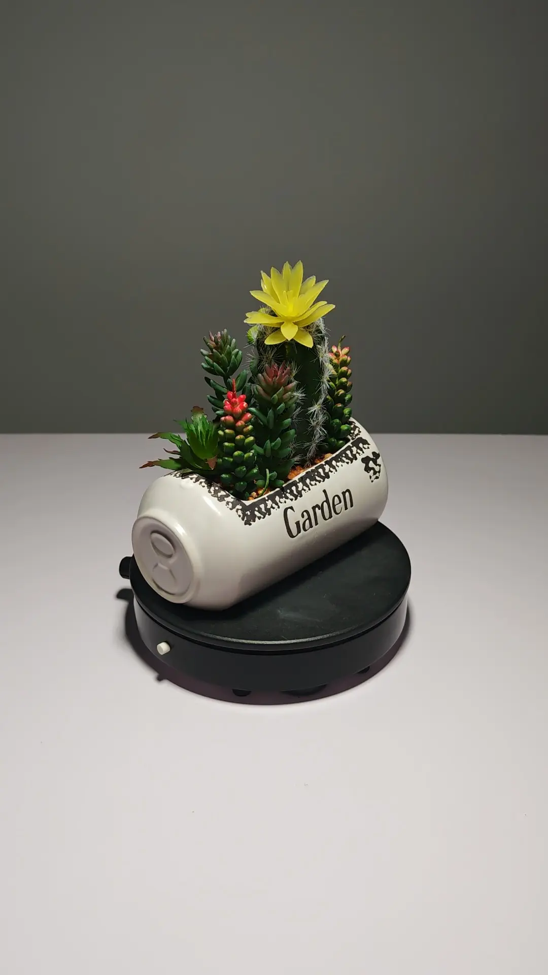 DR0054 (3) - Arranjo de Cactos Artificiais Coloridos