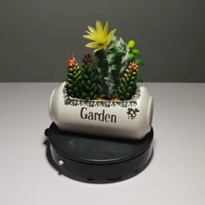 DR0054 (4) profile - Arranjo de Cactos Artificiais Coloridos