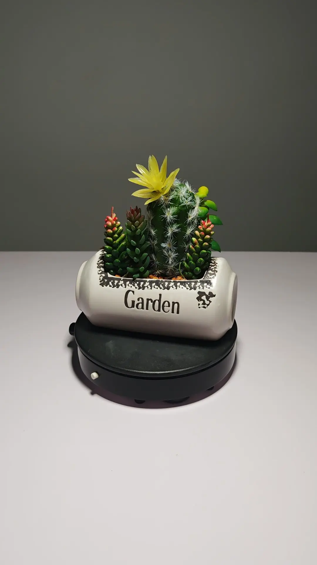 DR0054 (4) profile - Arranjo de Cactos Artificiais Coloridos