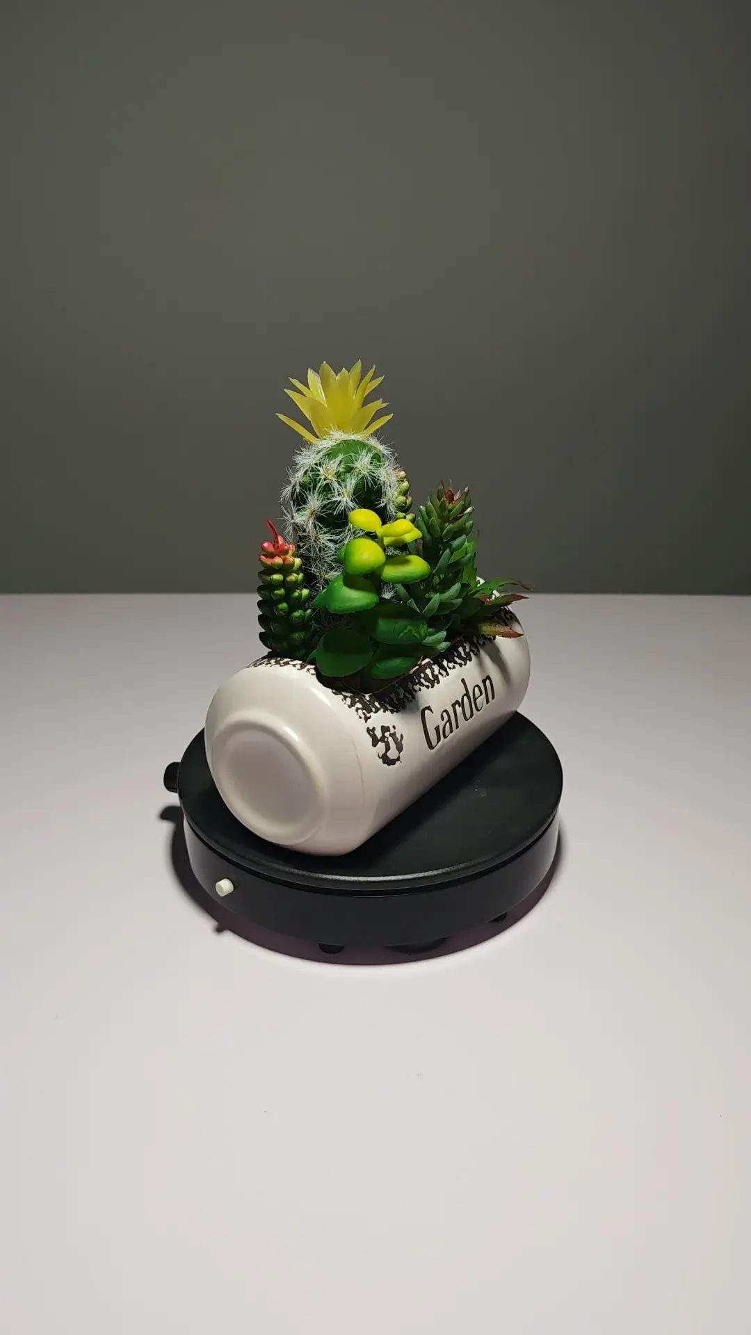 DR0054 (5) - Arranjo de Cactos Artificiais Coloridos