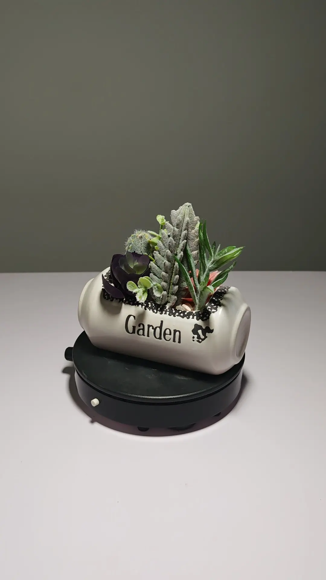 DR0057 (1) - Arranjo de Suculentas Artificiais Modernas