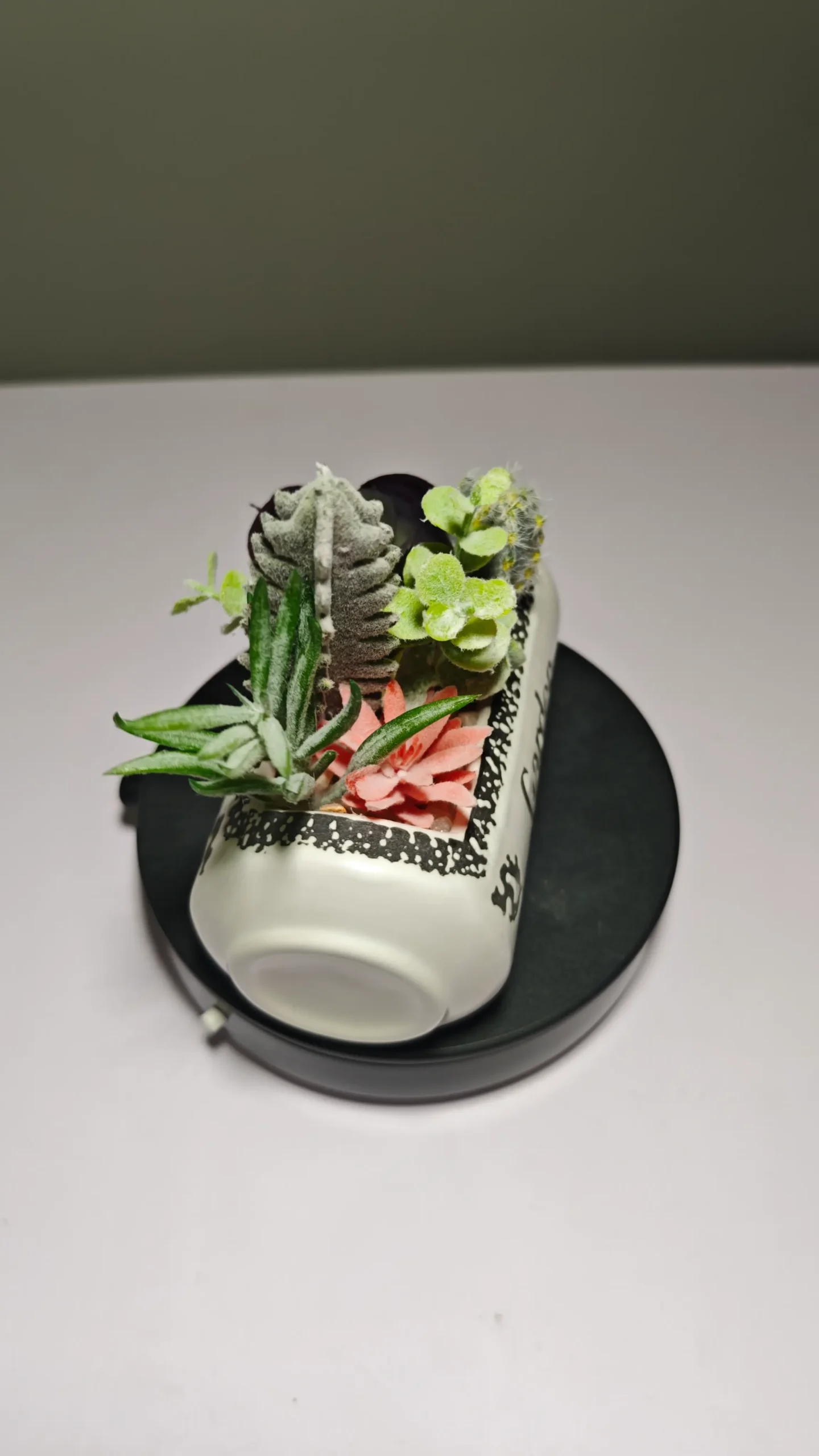 DR0057 (3) - Arranjo de Suculentas Artificiais Modernas