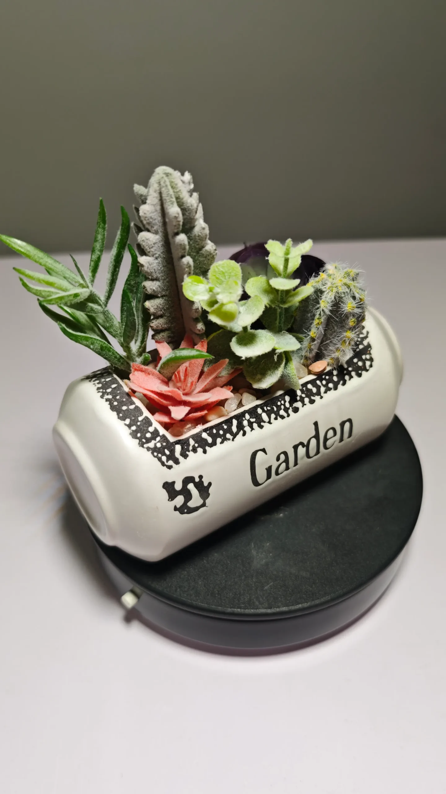 DR0057 (4) - Arranjo de Suculentas Artificiais Modernas