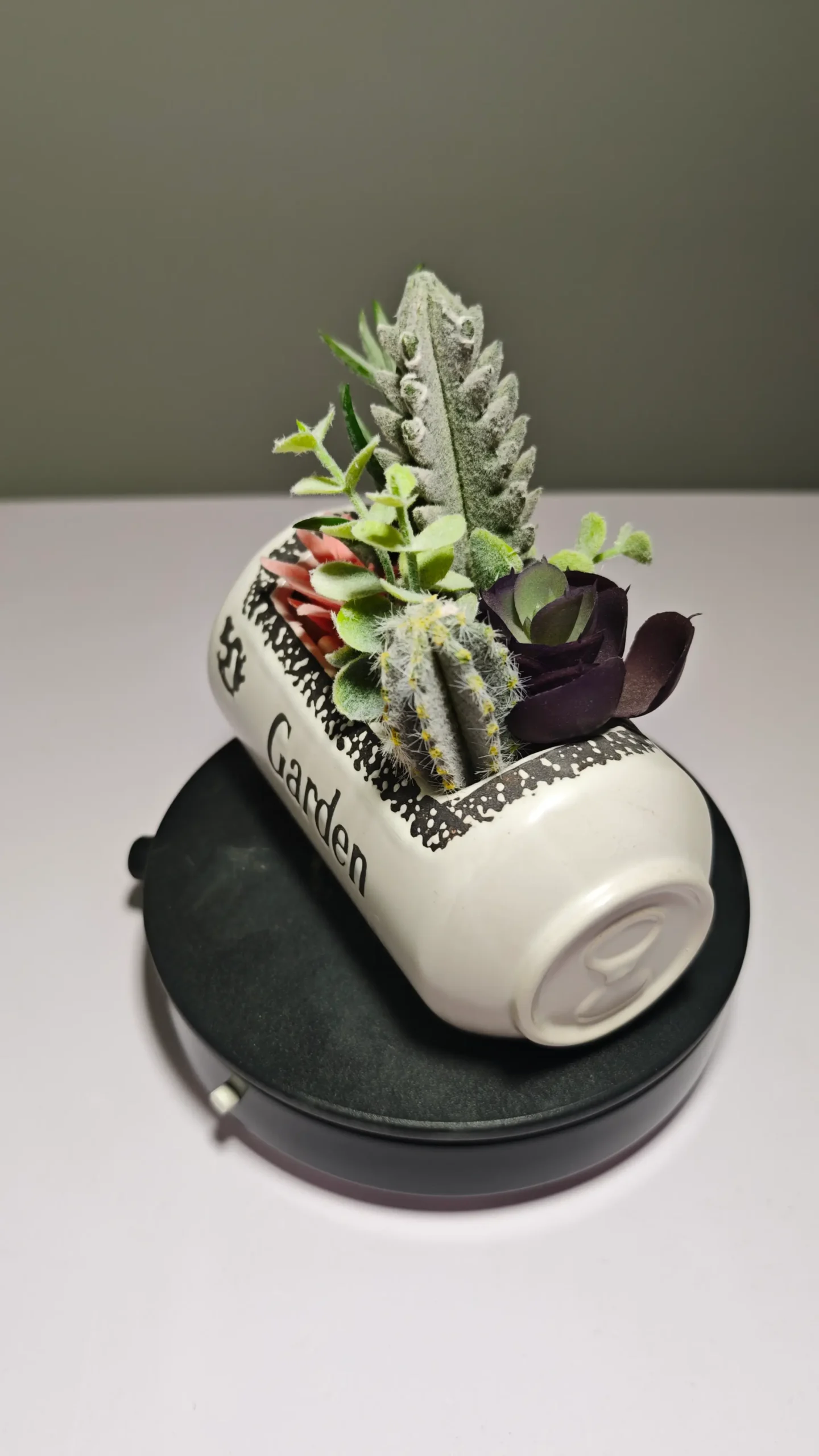 DR0057 (5) - Arranjo de Suculentas Artificiais Modernas