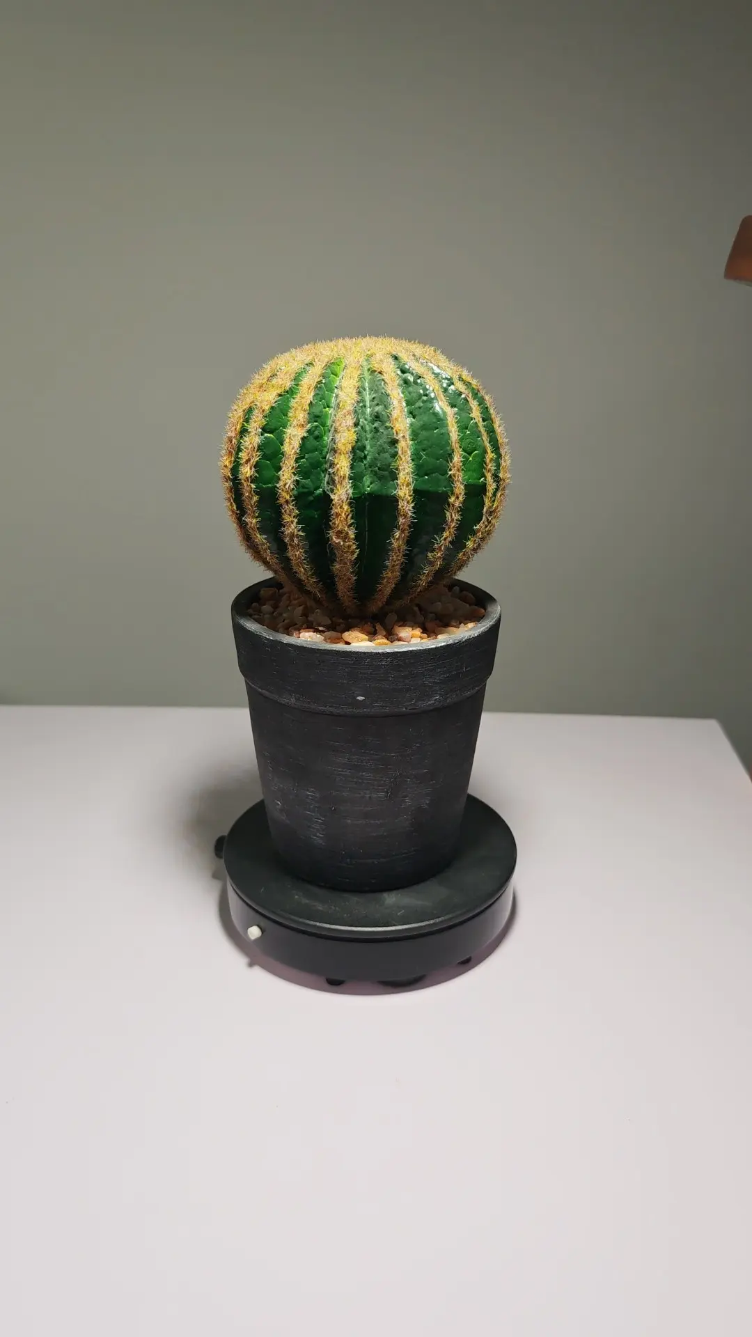 DR0059 - Cacto Artificial para Decoração de Entrada