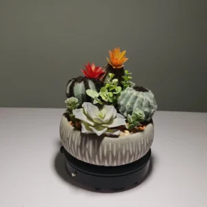 DR0063 (3) profile - Arranjo de Cactos e Suculentas Artificiais