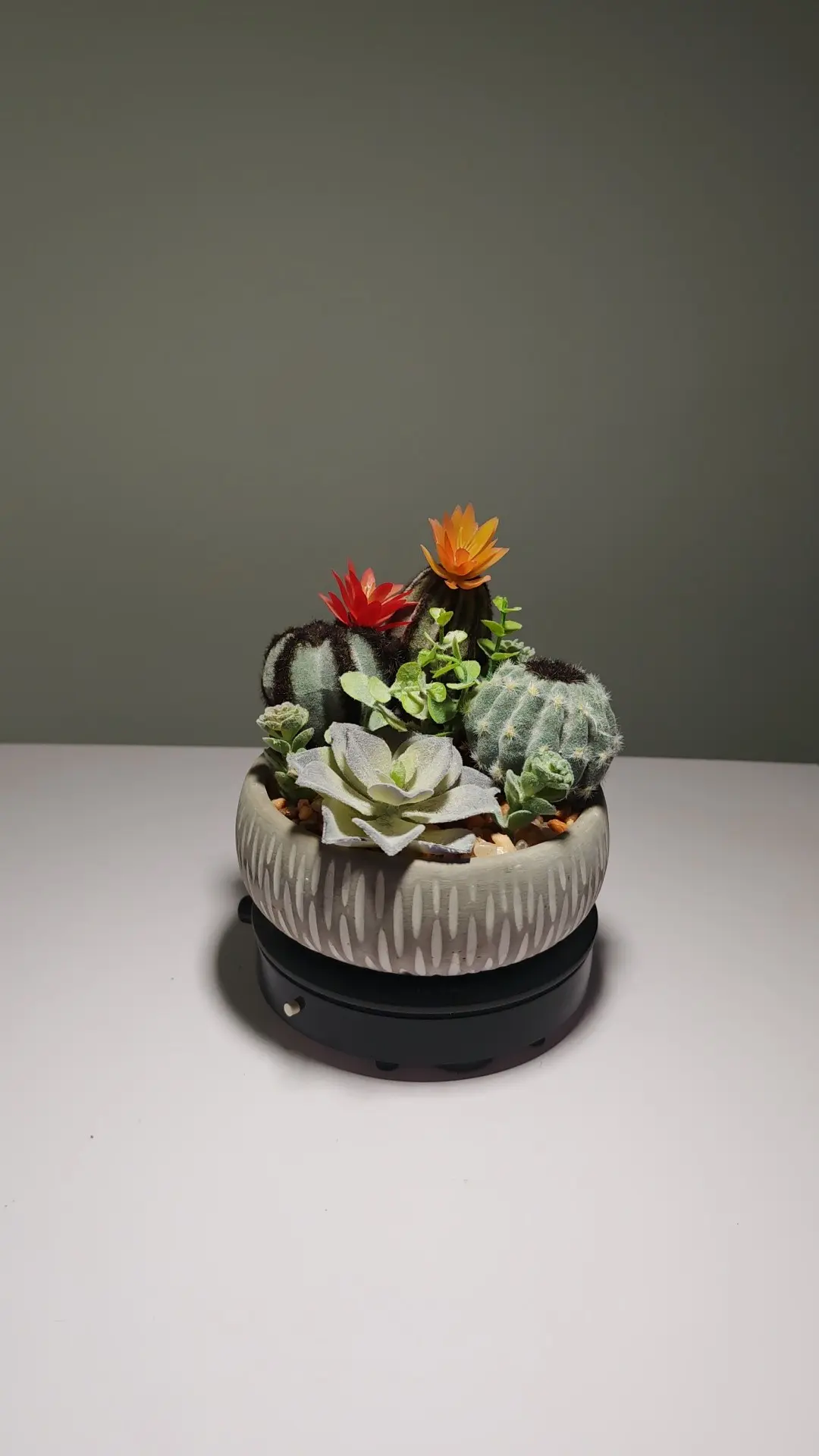 DR0063 (3) profile - Arranjo de Cactos e Suculentas Artificiais