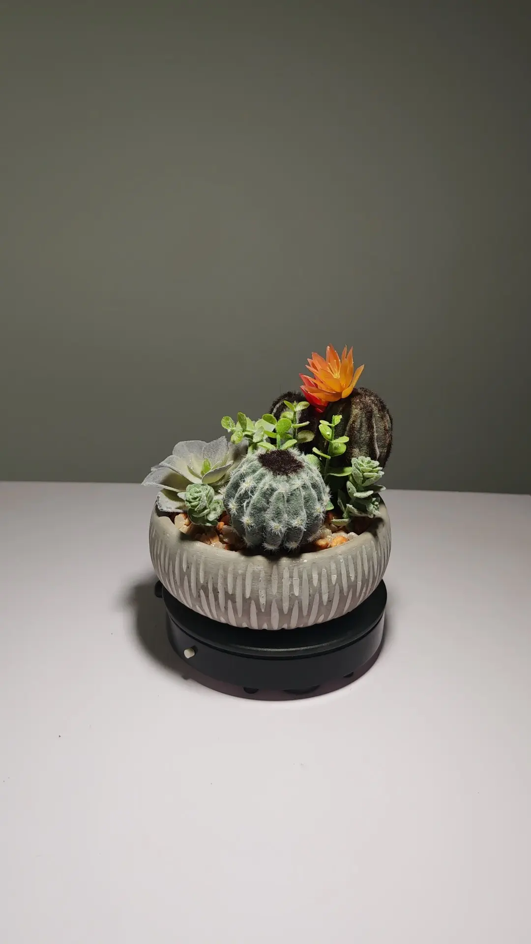 DR0063 (4) - Arranjo de Cactos e Suculentas Artificiais