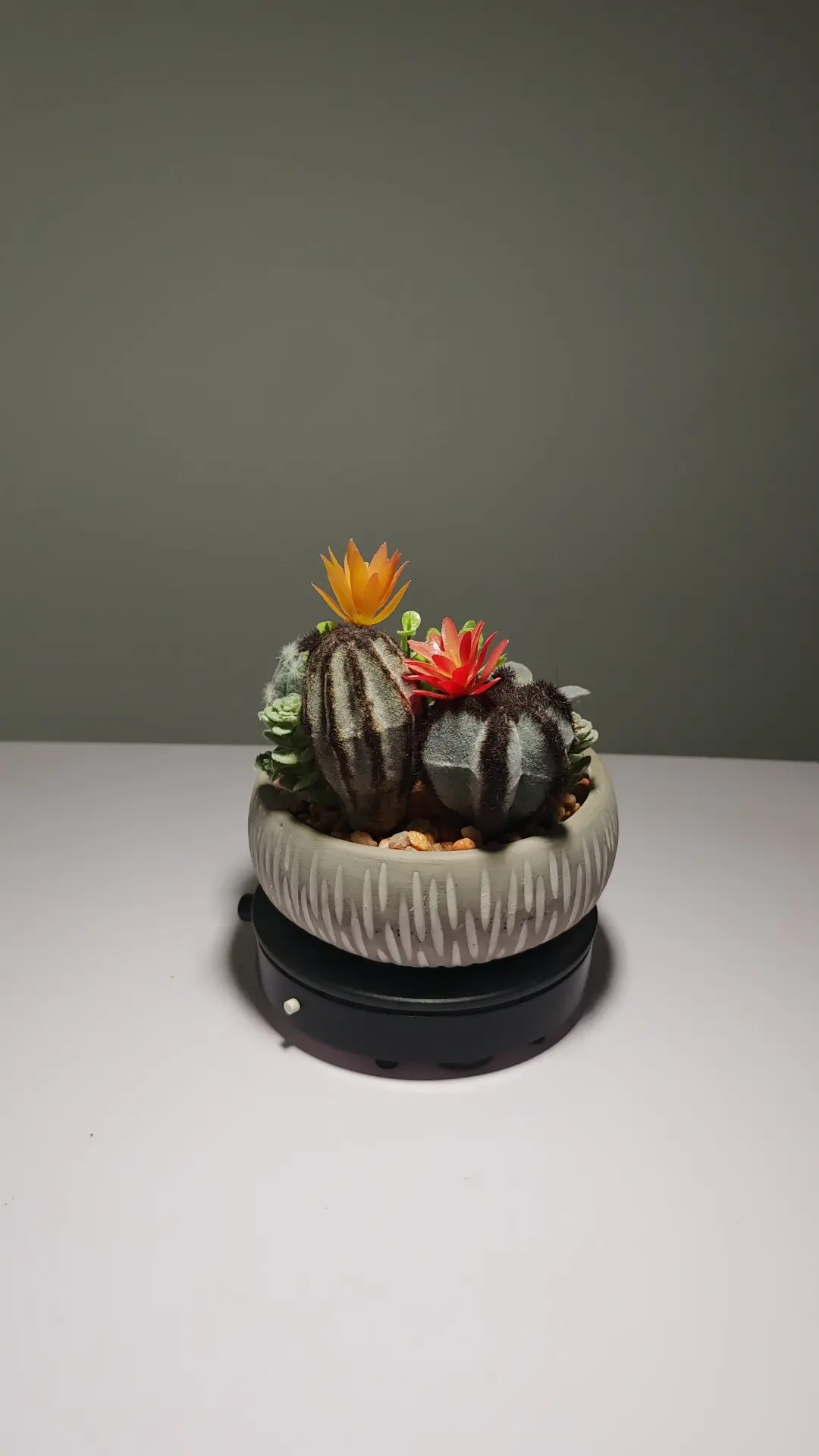 DR0063 (5) - Arranjo de Cactos e Suculentas Artificiais