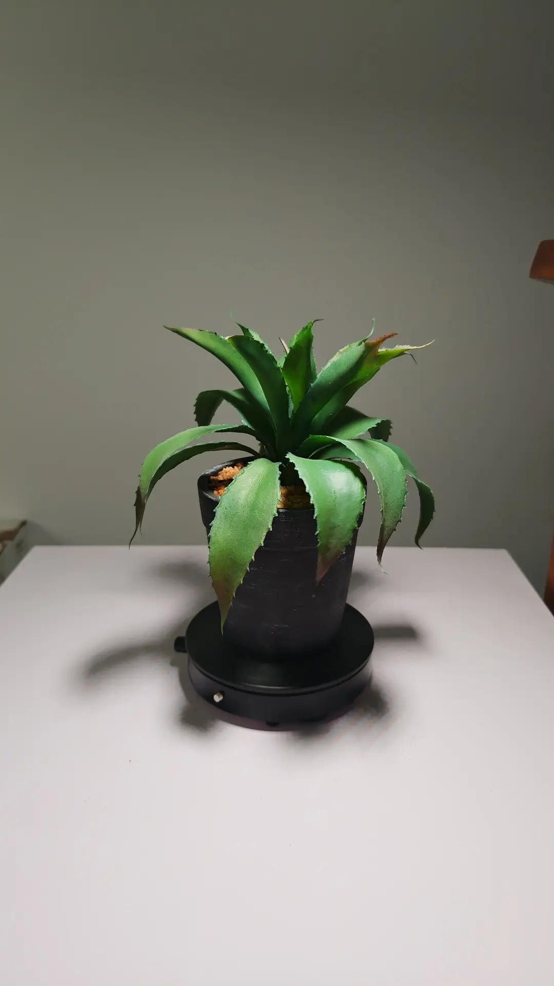 DR0064 (1) - Suculentas Artificiais para Janela e Varanda