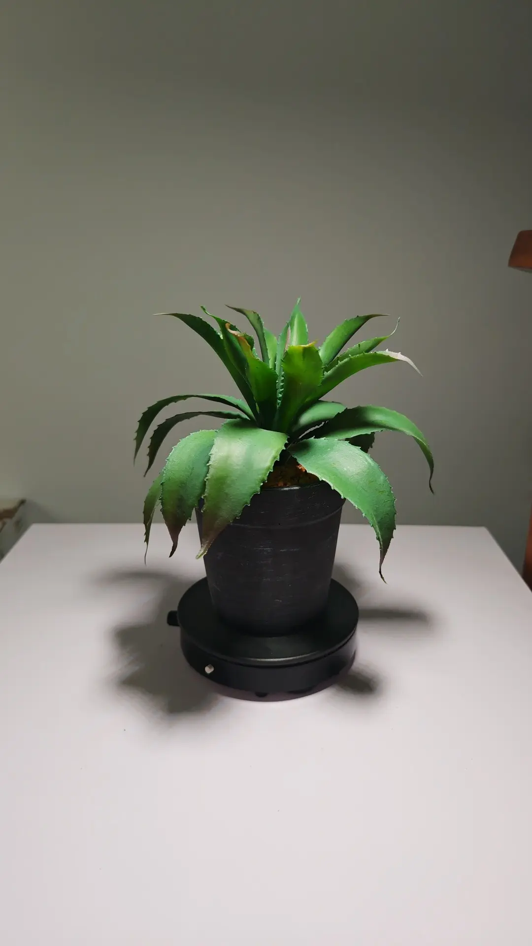 DR0064 (2) - Suculentas Artificiais para Janela e Varanda