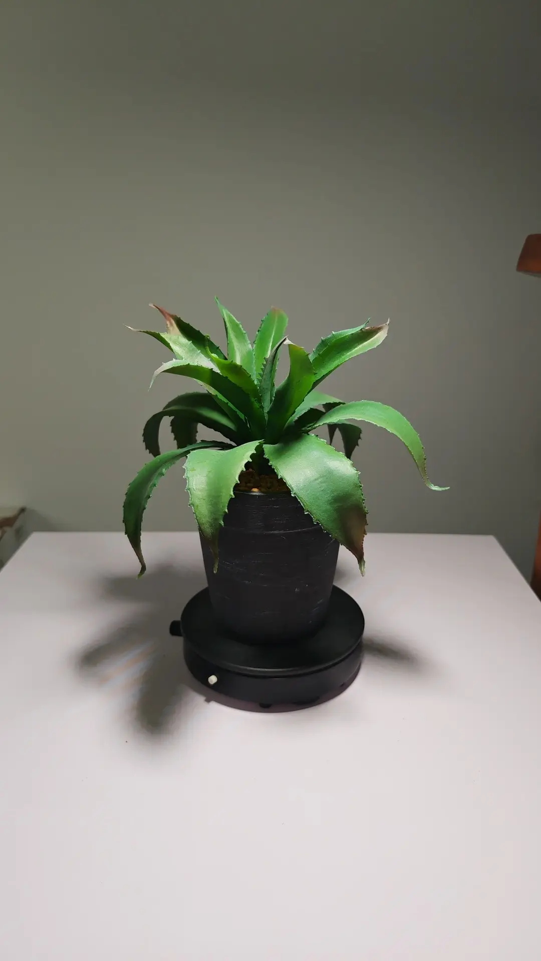 DR0064 (3) - Suculentas Artificiais para Janela e Varanda