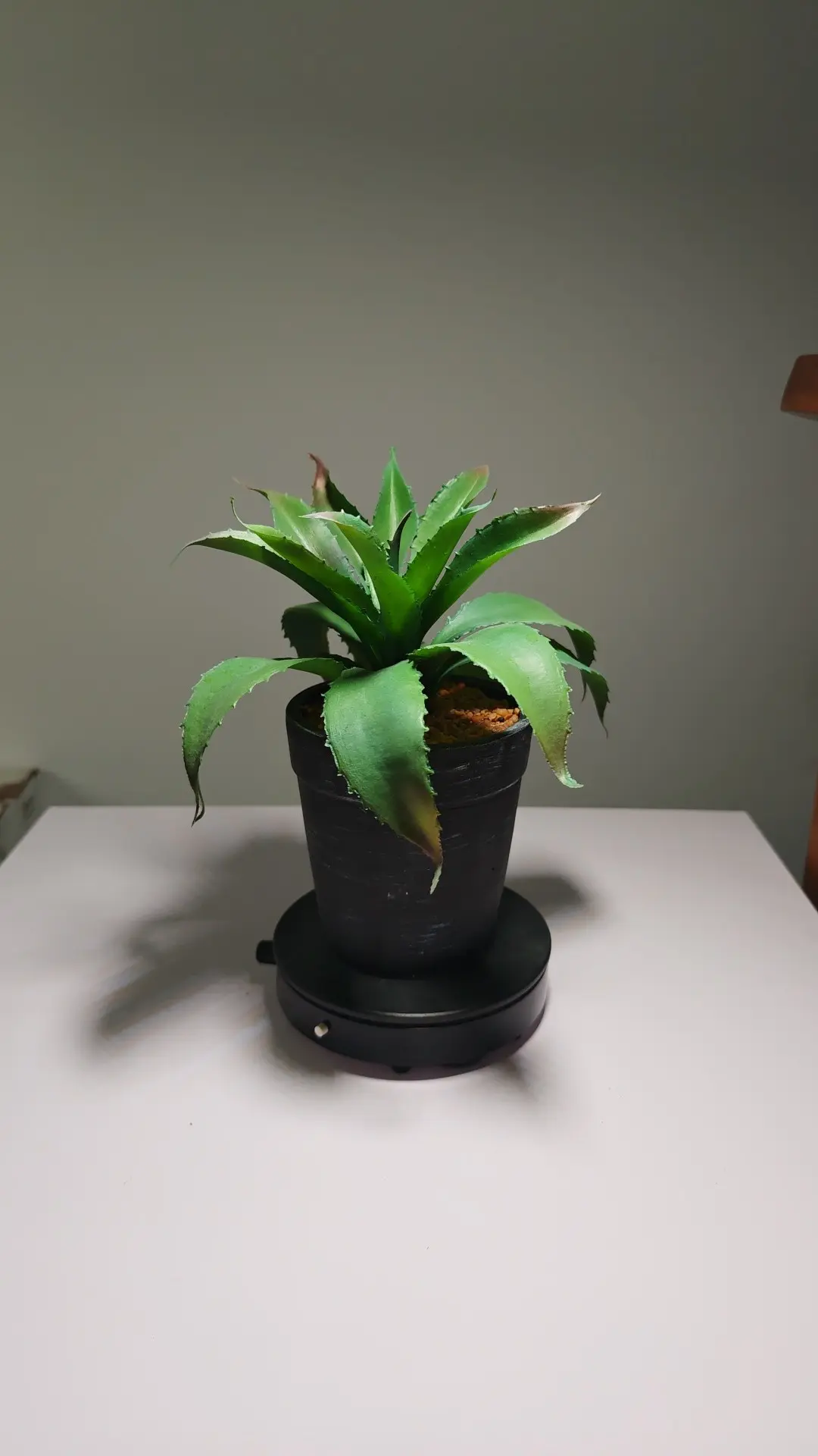 DR0064 (4) profile - Suculentas Artificiais para Janela e Varanda