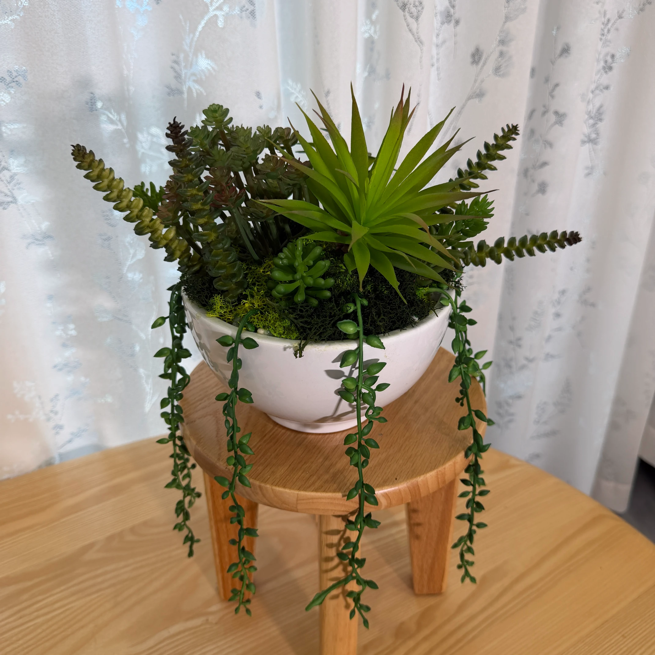 DR0073 (2) profile - Suculenta Artificial Pendente