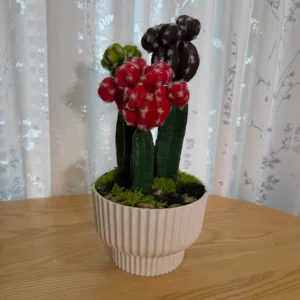 DR0077 (2) profile - Cacto Artificial Colorido