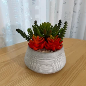 DR0079 (1) profile - Suculenta Artificial Laranja-Verde