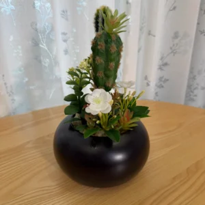 DR0082 (2) profile - Suculenta em Vaso de Cerâmica Texturizada