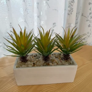 DR0086 (1) profile - Conjunto de Suculentas Artificiais