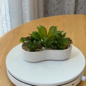 DR0091 (6) profile - Suculentas Falsas