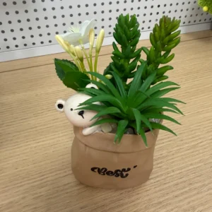 DR0092 (7) profile - Suculentas Artificiais com Urso